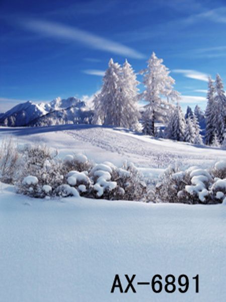 

graphy backdrops custom portrait cloth digital printed p props p studio background ax-6891