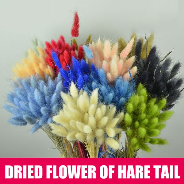 

50 pieces of dried flowers and plants decoration home natural artificial plants diy wedding party decoration pgraphy props