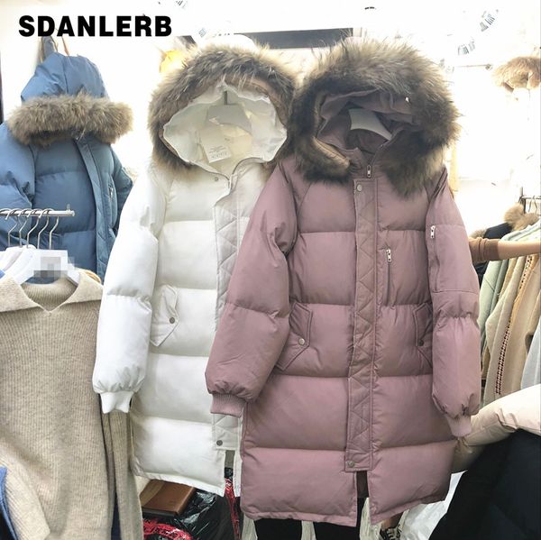 

2019 winter new raccoon fur collar cotton padded coat parkas women thickened warm long parka student hooded overcoat windproof, Black