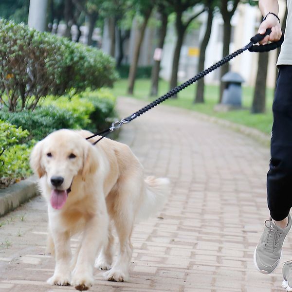 

buffer bungee dog leash pet anti shock dog leash for medium large dog