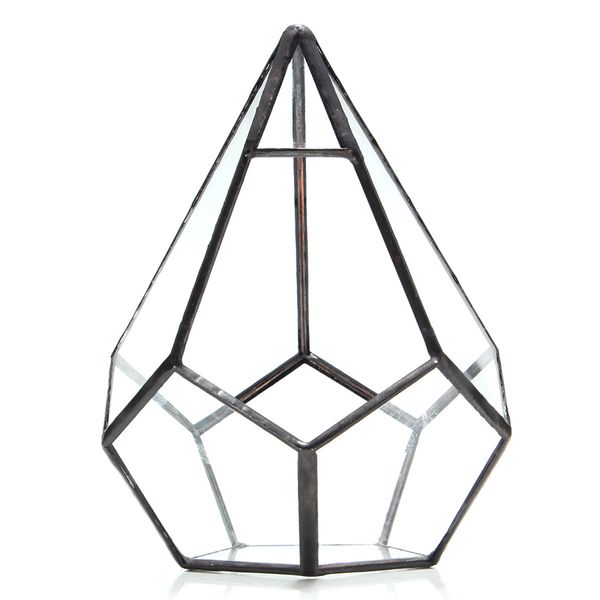 Pianta succulenta Triangolo Serra Terrario di vetro Bottiglia di vetro micro paesaggio fai-da-te
