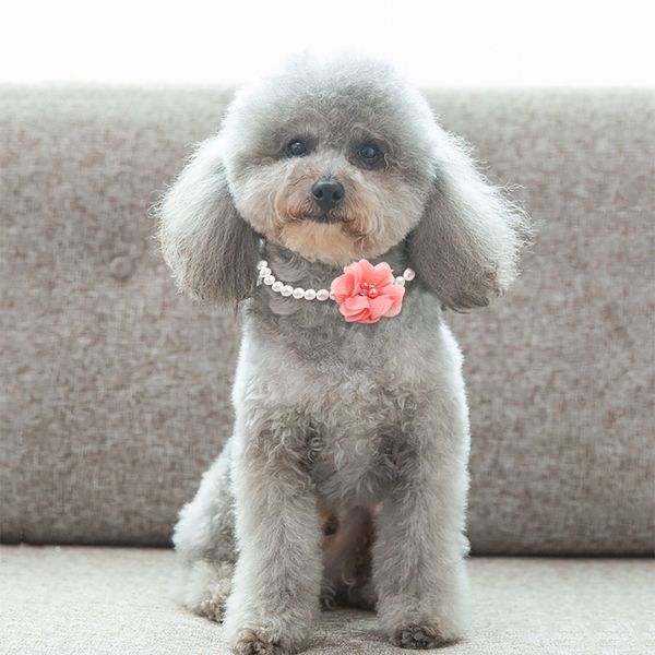 

princess pearl pet necklace accessories for puppies dogs cats small animals wedding jewelry small puppy products for yorkshire