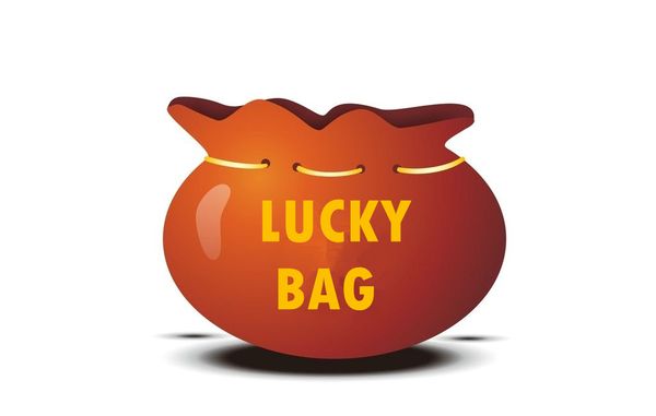 

ladies earrings fashion accessories fortune bags with two pairs of extra value surprise bags, Golden