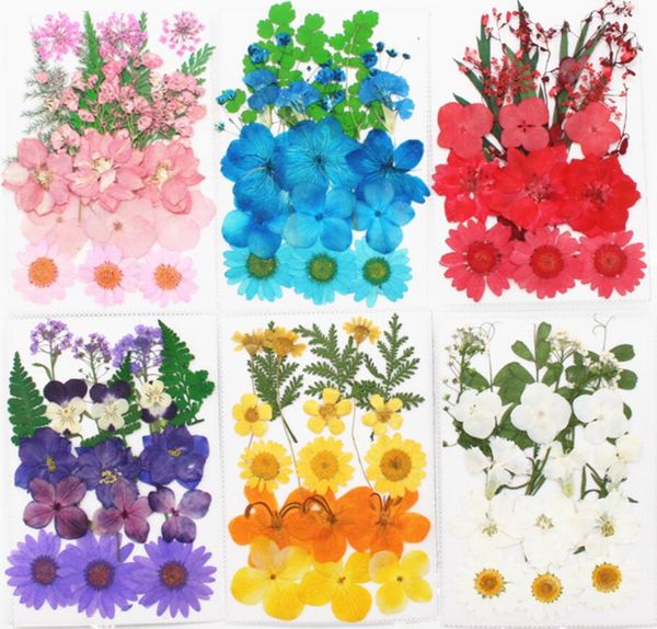 Typr-2 1 Set gemischte getrocknete gepresste Rosen-Gänseblümchen + Blätter Pflanzen Herbarium für Schmuck, Postkarten, Fotorahmen, Handyhüllen, zum Selbermachen
