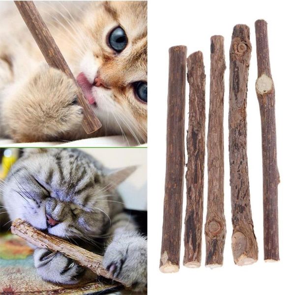 

5/10/15/20pcs pure natural catnip pet cat toy molar toothpaste branch cleaning teeth silvervine cat snacks sticks pet supplies