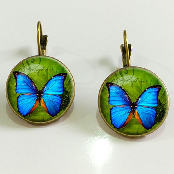 

europe and america accessories retro time stone earrings butterfly peacock galaxy star french ear hook ear stud, Golden;silver