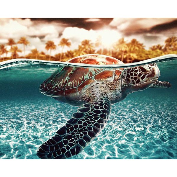 

diving turtle sea animal diy digital painting by numbers modern wall art canvas painting unique gift home decor 40x50cm
