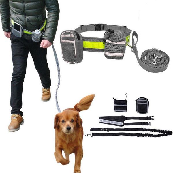 

tpfocus pet walking sport set adjustable pet dog leash lead waist belt multifunction walking running sport set 2019
