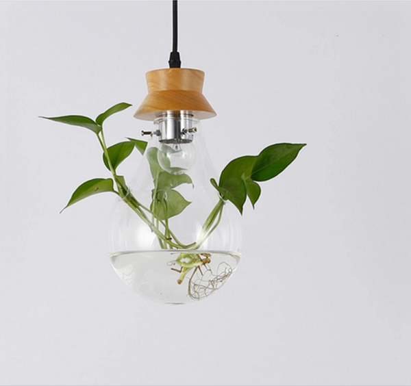 

bedroom restaurant bar pastoral design plant wood glass pendant light