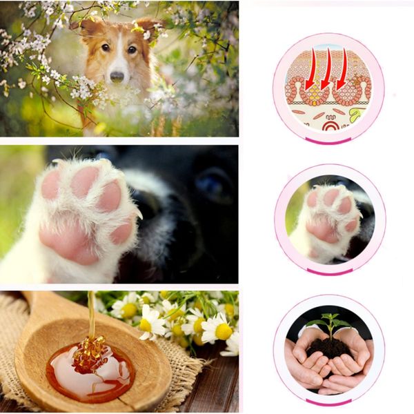 

new pet paw care creams puppy dog cat paw care cream moisturizing protection forefoot toe health pet products