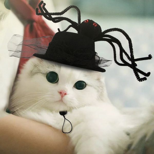 

высокое качество pet собаки на хэллоуин кепка с косплей костюм щенка декора шапки для маленьких кошка собака 2019 новый