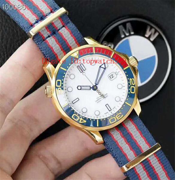 

tw factory 300m mens watch diving watches swiss 8800 automatic mechanical 28800 vph ceramic bezel & dial sapphire crystal nylon strap, Slivery;brown