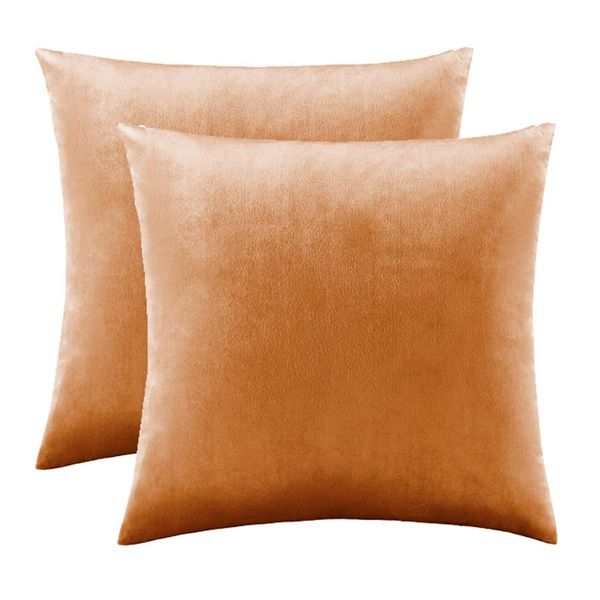 

home decor velvet square rectangle lumbar cushions for sofa cinnamon cushion with filling for bedroom throw pillows couch
