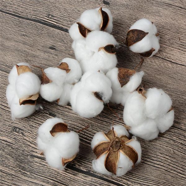

natural and synthetic blend cotton balls dry flower wedding dried flowers plants party birthday l courtyard decoration flowers for craft