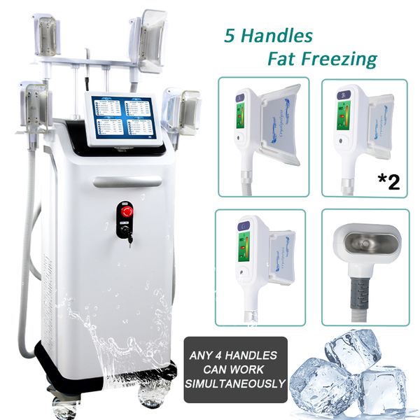

2019 fat e slim machine cryolipolysis neck face slimming equipment professional platinum targeted cold cryolipolysis system 5 handles