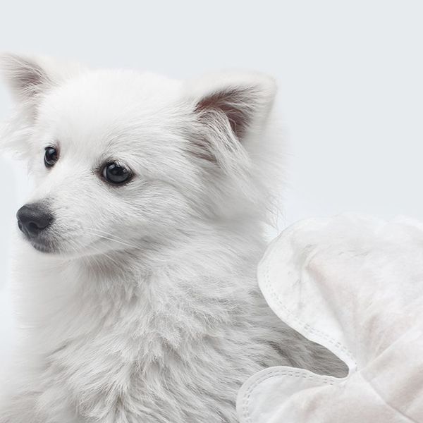 

12pcs/set pet wet tissue ticken shower grooming cleaning thickken deodorization disinfection gloves