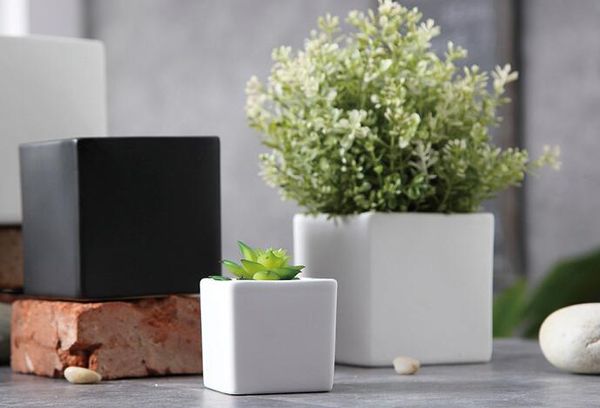 suculentas potes de moda decorativa branca simples vasos de flores pretas plantadores de plantas suculentas em vasos na decoração em casa Mesa Três tamanhos