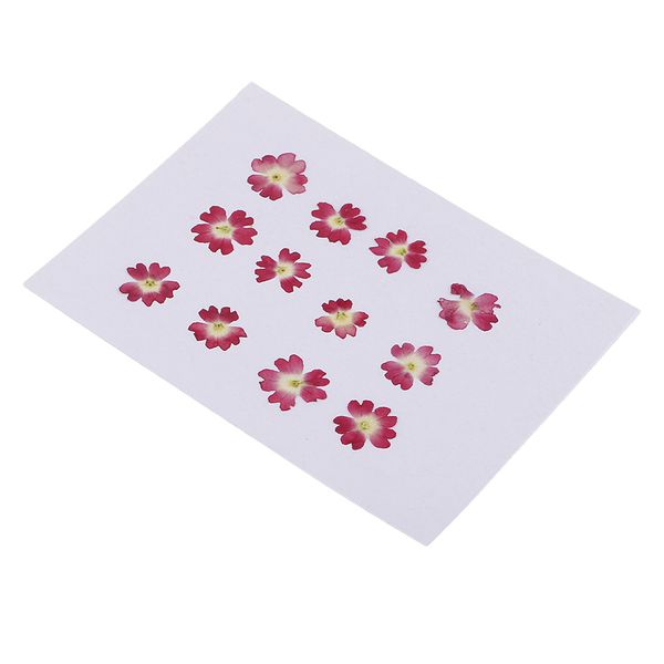 

12 шт. натуральные сухоцветы вербена для diy подвески ручной работы смолы орнамент чехол для телефона украшения