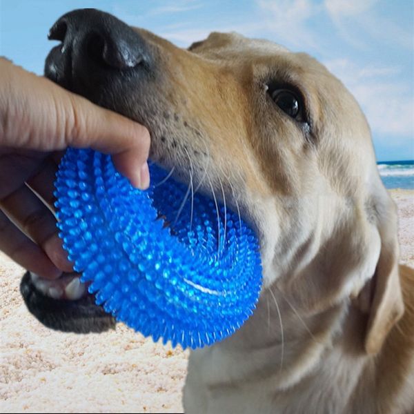 

bite training sound ring rubber chew dog toys dog toothbrush chews toy ring pet supplies drop ship 360057