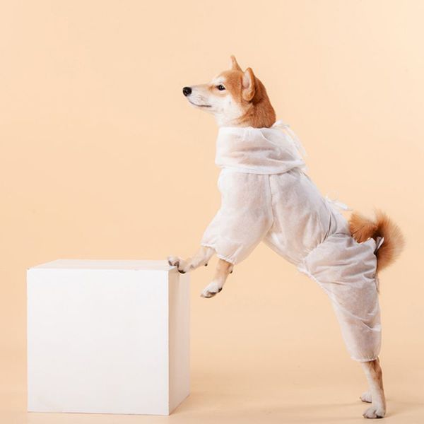 

dog protective clothing disposable pet protective clothing dogs dog light clothes reduce pet fur bacteria anti virus dog safe accessories