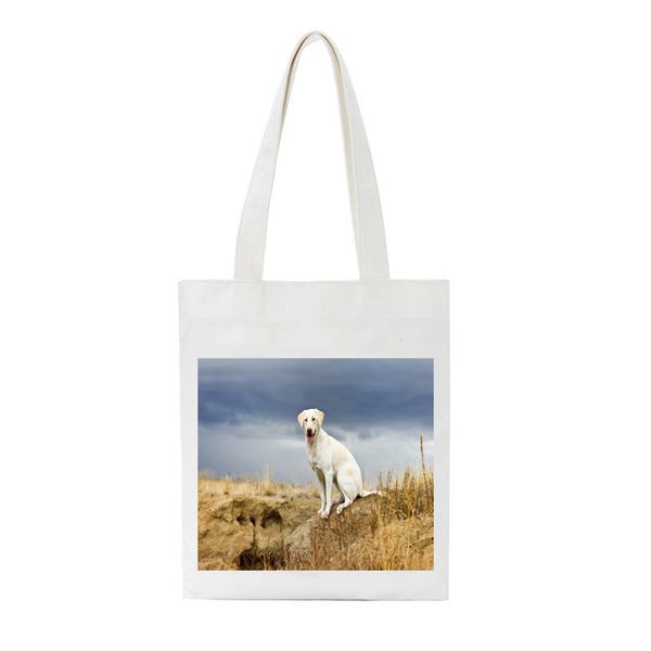 

large reusable bags girls shopping bags shop grocery cartoon animals recycle portable shoulder handbag travel tote bag
