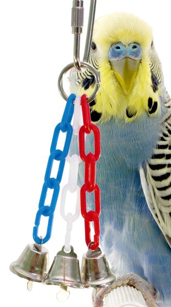 

parrot gnaw toys bird toys plastic chain simple and easy small bell string