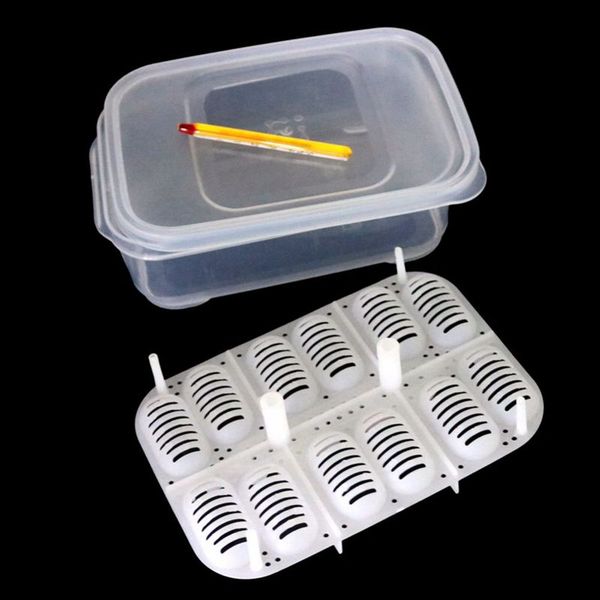 

12 holes reptile egg incubation tray with thermometer incubating gecko lizard snake eggs incubation tool pet supplies