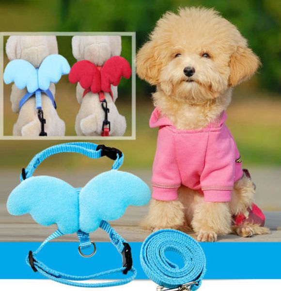 

trendy pet dog cat leashes collars set puppy leads angel wing adjustable harness