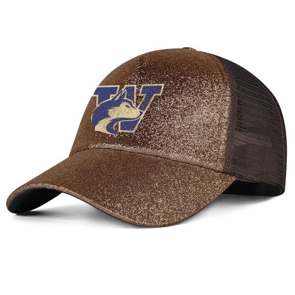 

washington huskies football old print logo mens and women pony hat cap custom blank team classic baseballhats core smoke, Blue;gray