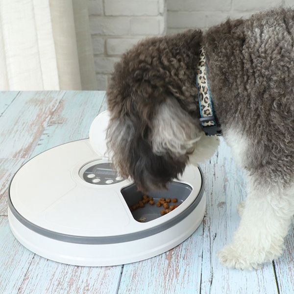 

128ml automatic timed pet feeder food dispenser 6-meal for cat dogs