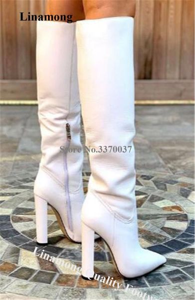 

linamong elegant women pointed toe chunky heel knee high boots white leather long thick high heel boots wedding dress shoes, Black