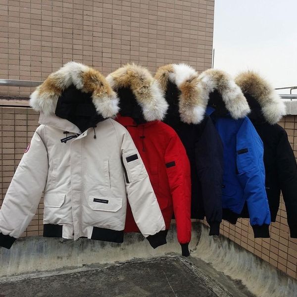 

18aw европейских и американских пуховик короткие открытый волк волос big goose пуховик мужчины и женщины высокого качества куртки hfbyyrf010, Black;brown