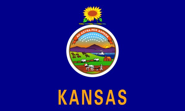 

drop shipping american kansas copy state flag 3x5ft usa polyester flag banner white sleeve and two grommets