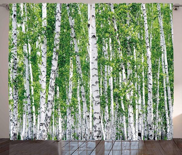 

birch tree curtains fresh green leaves summer forest rural landscape lush environmental image living room bedroom window