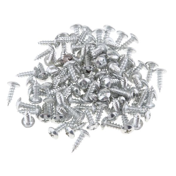 

100 x fastening screws plastic lining screws for panels, bodies, bumpers