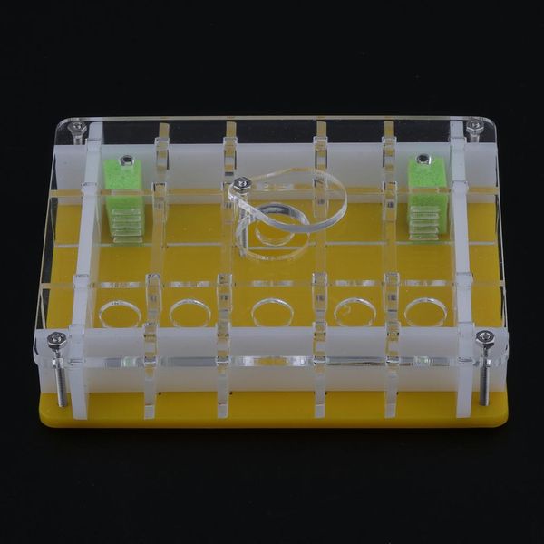 

clear ant feeding nursery box ant farm house castle for insect ant reptile