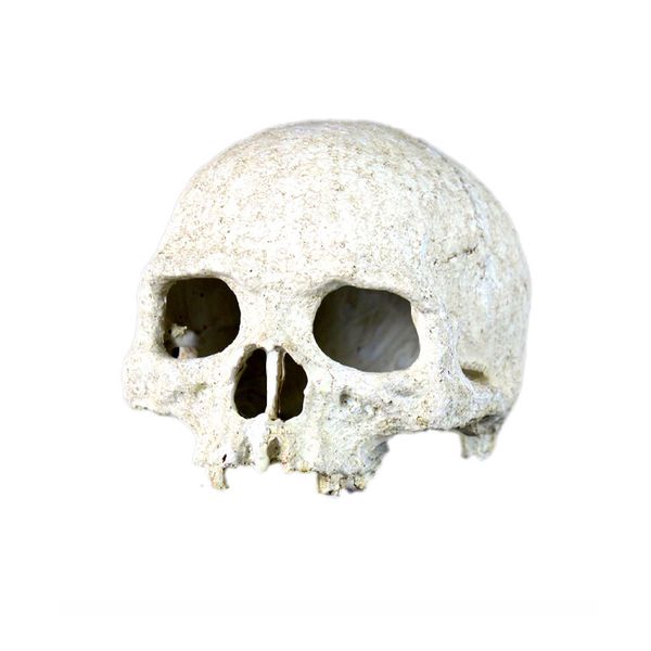 

reptile vivarium decoration human skull hide cave nest aquarium underwater ornament