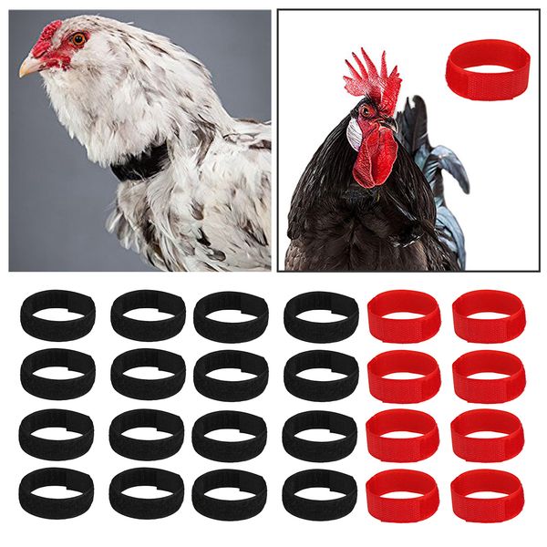 

set of 24 anti crow rooster collar no crow noise neck belt for roosters cockerel