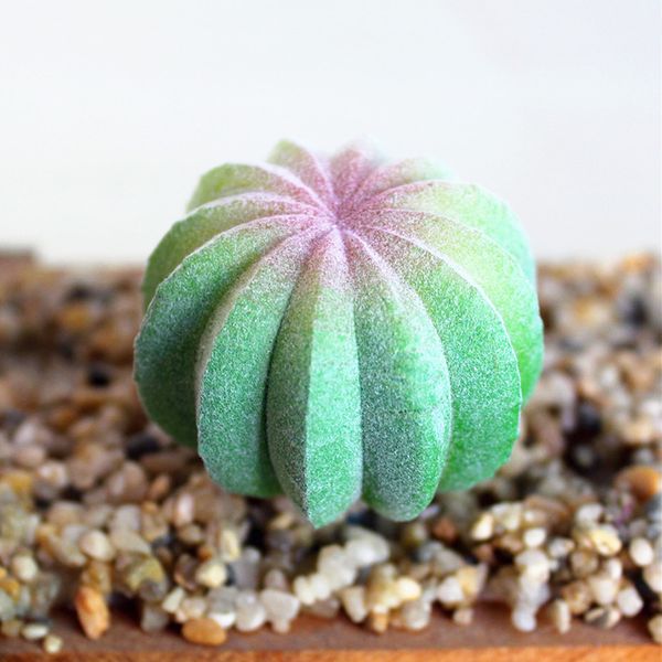 

mini simulation plastic succulent plant cactus echeveria yard garden home decor