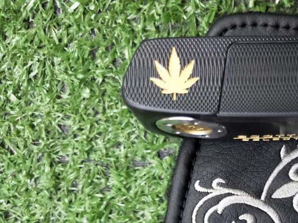 

Новая модель клюшки для гольфа Newport 2 Золотой кленовый лист Паттер Съемные гири Че