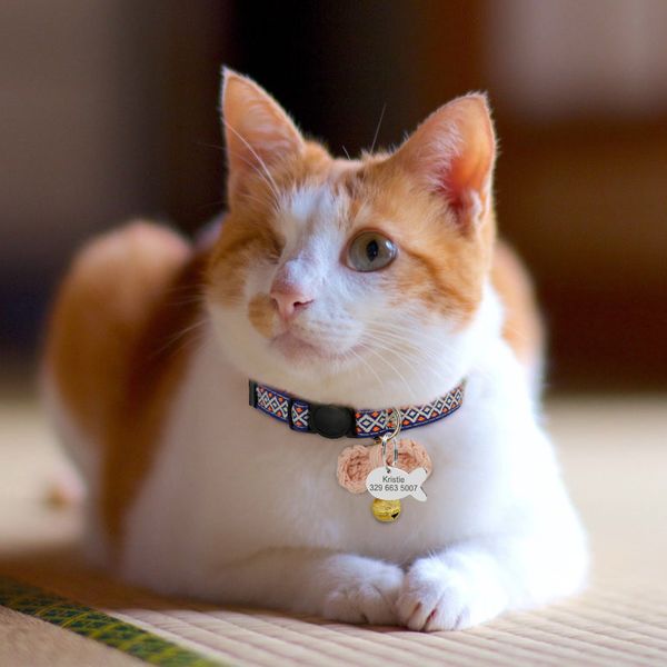 

custom nylon cat collar quick release personalized cats collars cute kitten cats id collars with fish tag bell cat accessories