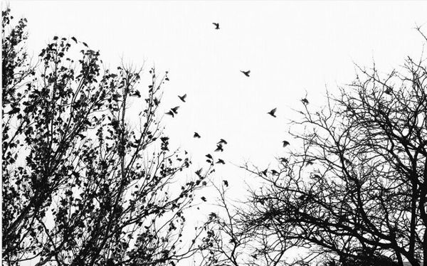 

кѬаиве пейзажи обои еѬно беле деѬевнне пи 3d обои поле пѬоой в он