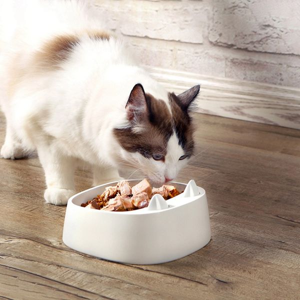 

cat / water bowl with spoon resin per feeder anti-splash bowl for cats