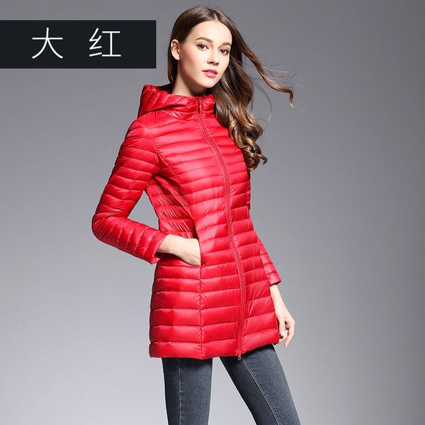 

the ducks downstairs wear coats. women with stand necklaces are ultra-light. women with warm autumn coats have bigger pascal, Black