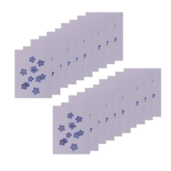 

20 bags natural pressed dried flowers leaves diy floral decor resin epoxy