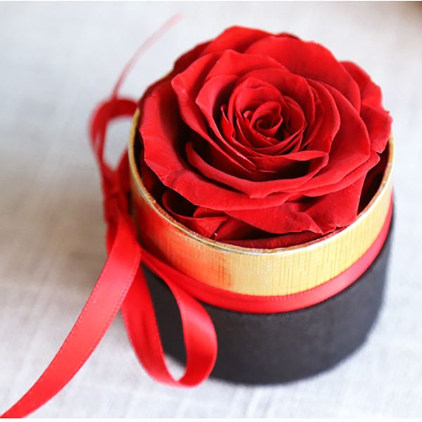 

dired roses bouquet flower romantic gift valentines day birthday gift box pet supplies home garden