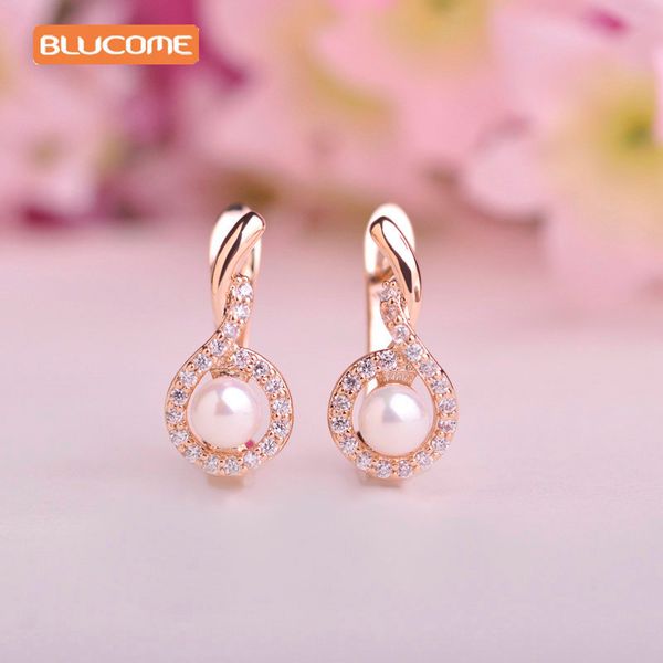 

blucome small simulated pearl drop earrings for women gold-color princess england hooks micro pave zircon shiny copper earring, Silver