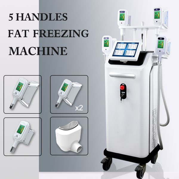 

cryolipolysis fat ing machine 5 handles weight loss slimming beauty salon equipment fat reduction slimming machine