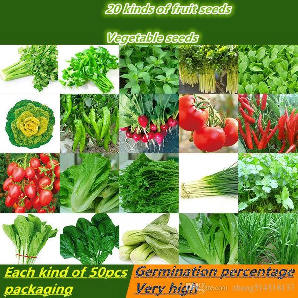 

1000шт органических семян овощных культур упаковка 20 видов * 50шт четыре посева лето