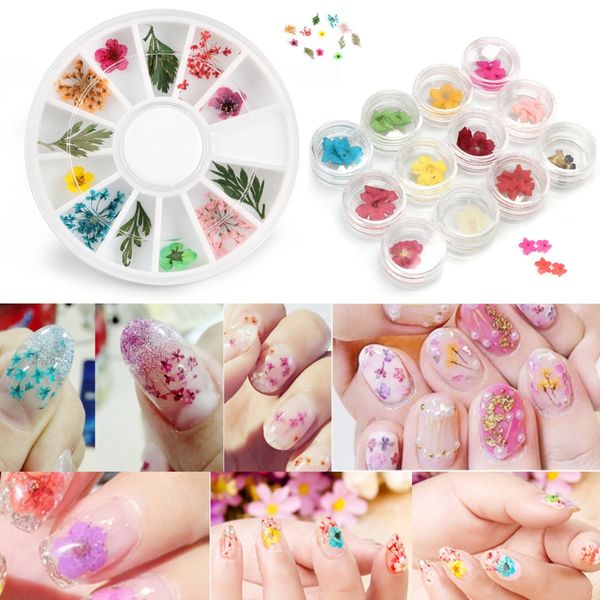 

anmas rucci 12pots 3d dried flower decoration wheel for acrylic uv gel nail art design, Silver;gold